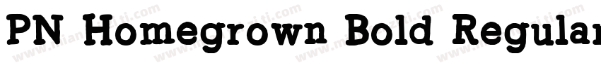 PN Homegrown Bold Regular字体转换